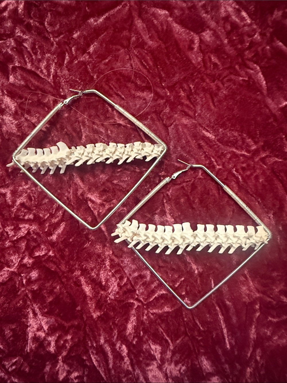 Silver Hoop Earrings with Cream Spine Accent
